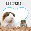 Kaytee Clean & Cozy Natural Small Animal Bedding, Expands to 49.2L 🍁 All In One Marketplace Canada
