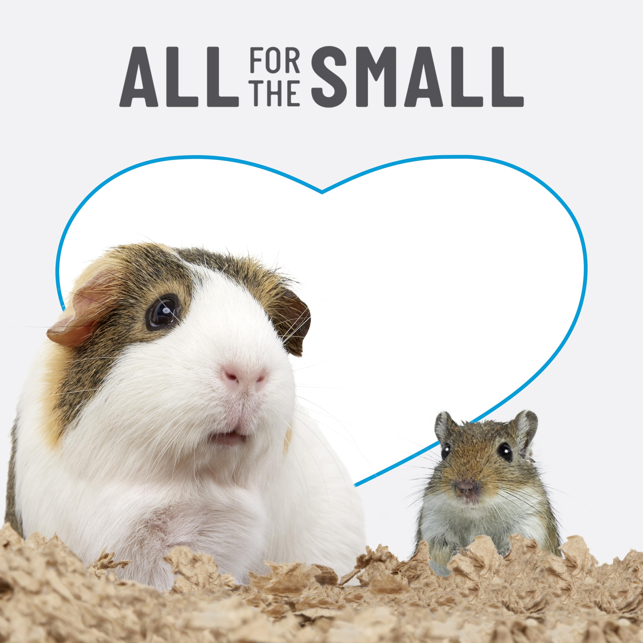 Kaytee Clean & Cozy Natural Small Animal Bedding, Expands to 49.2L 🍁 All In One Marketplace Canada