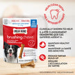 Milk-Bone Brushing Chews Dental Dog Treats, Chicken Flavour Dental Chew, Helps Clean Teeth and Reduce Bad Breath, For Medium Dogs, 45 Treats (Pack of 1) 🍁 All In One Marketplace Canada