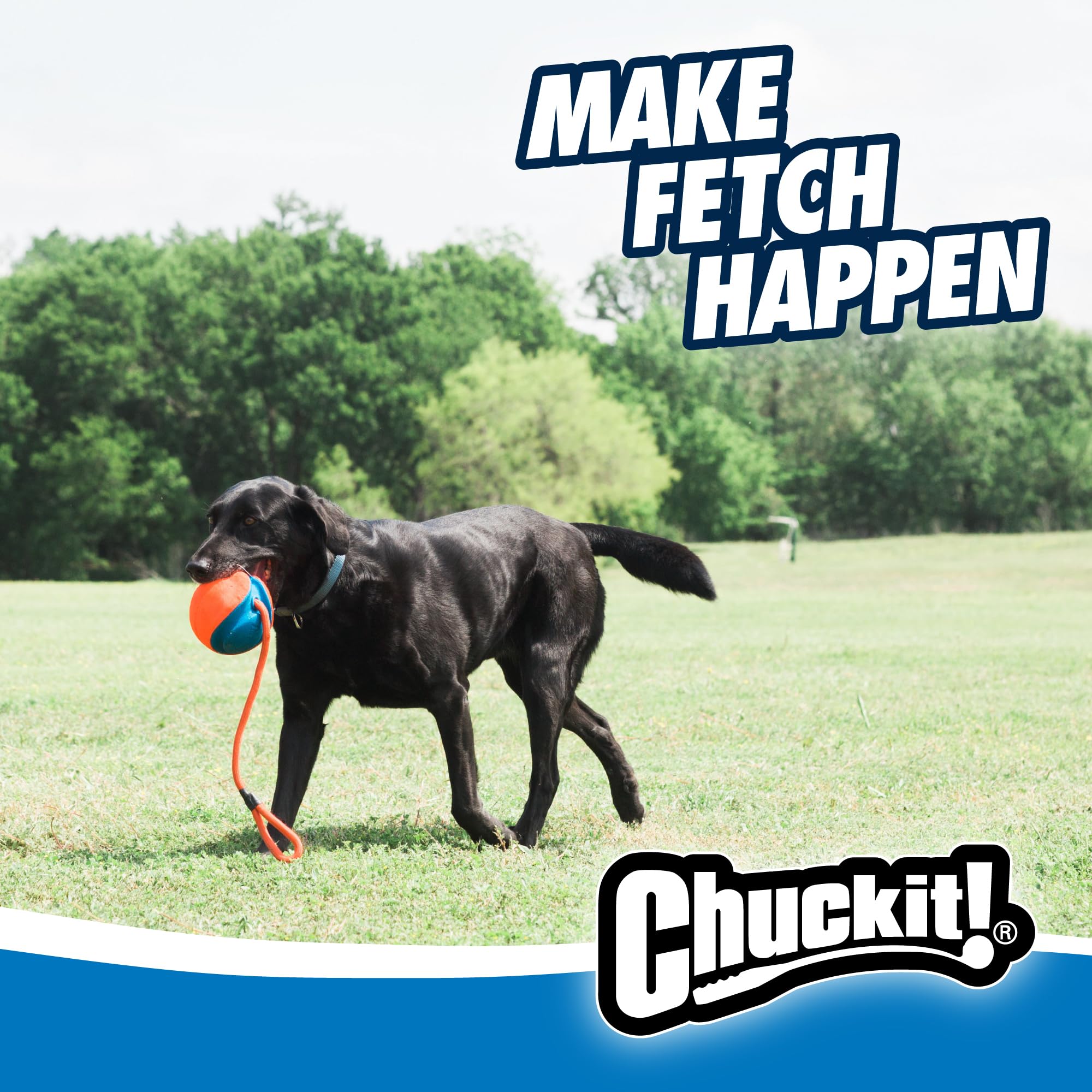 CHUCKIT! 32220 Pet Supplies Dog Toys 🍁 All In One Marketplace Canada