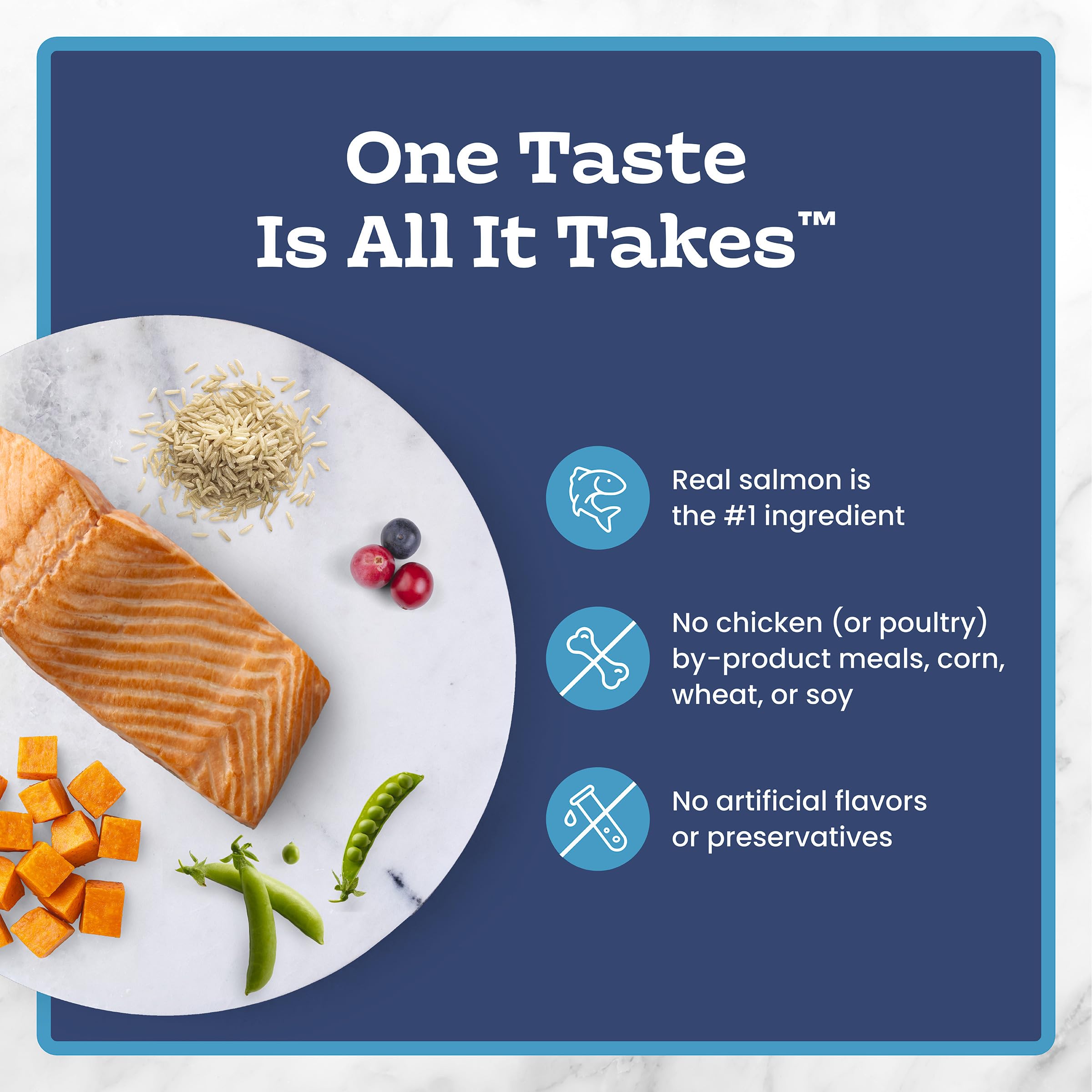 Blue Buffalo Tastefuls Salmon & Brown Rice Recipe Dry Indoor Cat Food for Adult Cats, Real Salmon First, Deliciously Healthy Natural Cat Food, Supports Digestive Care and Coat Health, 3.1kg Bag 🍁 All In One Marketplace Canada