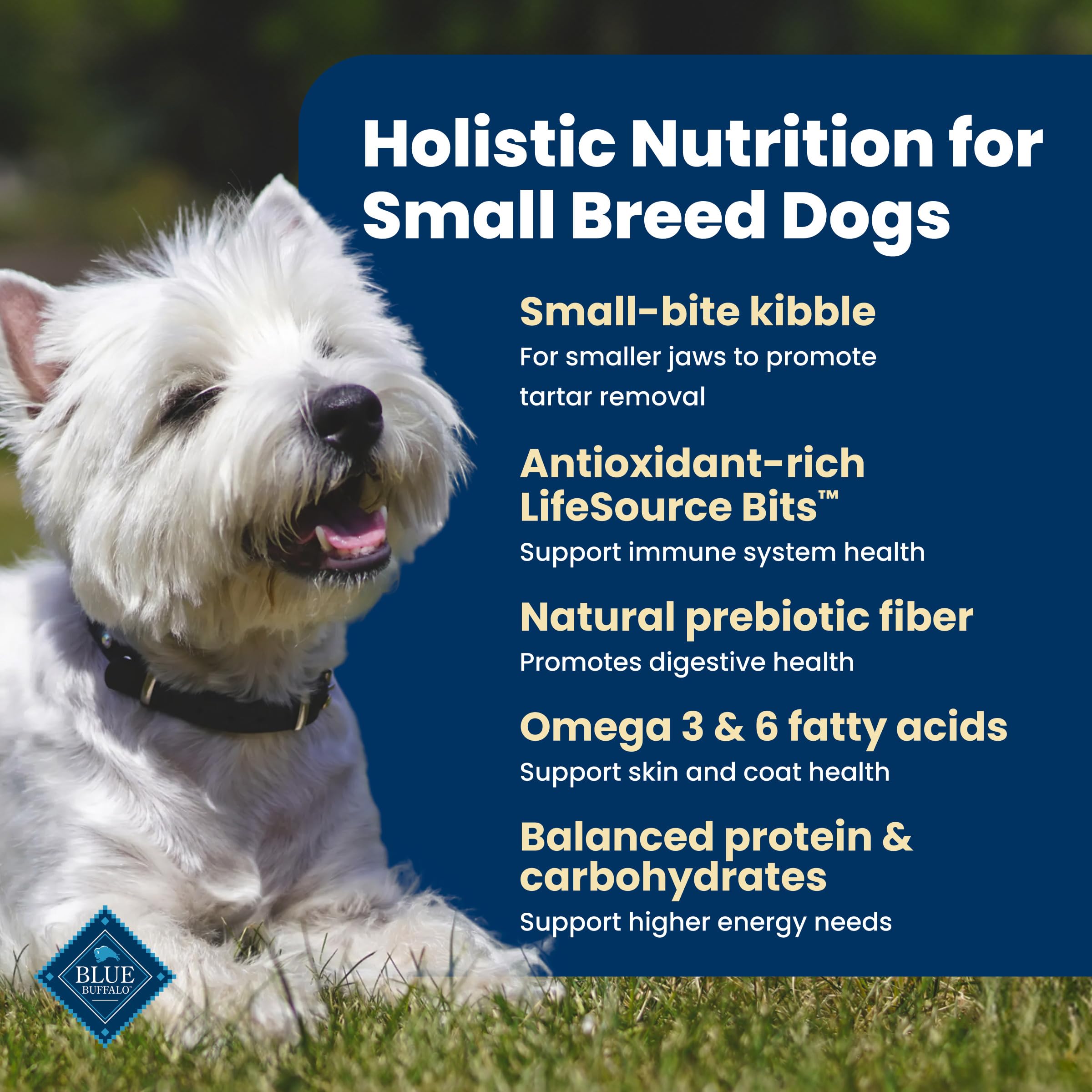 Blue Buffalo Life Protection Formula Chicken & Brown Rice Small Breed Adult Dry Dog Food, Supports Immunity with Antioxidant-Rich LifeSource Bits, Promotes Healthy Muscles, 6.8kg/15 lbs 🍁 All In One Marketplace Canada