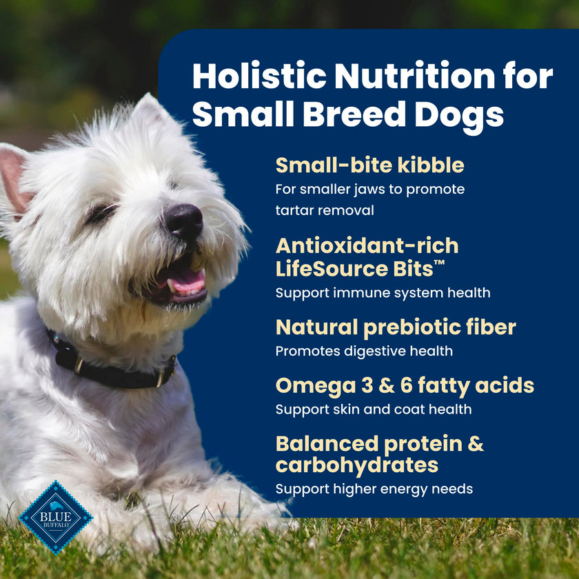Blue Buffalo Life Protection Formula Chicken & Brown Rice Small Breed Adult Dry Dog Food, Supports Immunity with Antioxidant-Rich LifeSource Bits, Promotes Healthy Muscles, 6.8kg/15 lbs 🍁 All In One Marketplace Canada