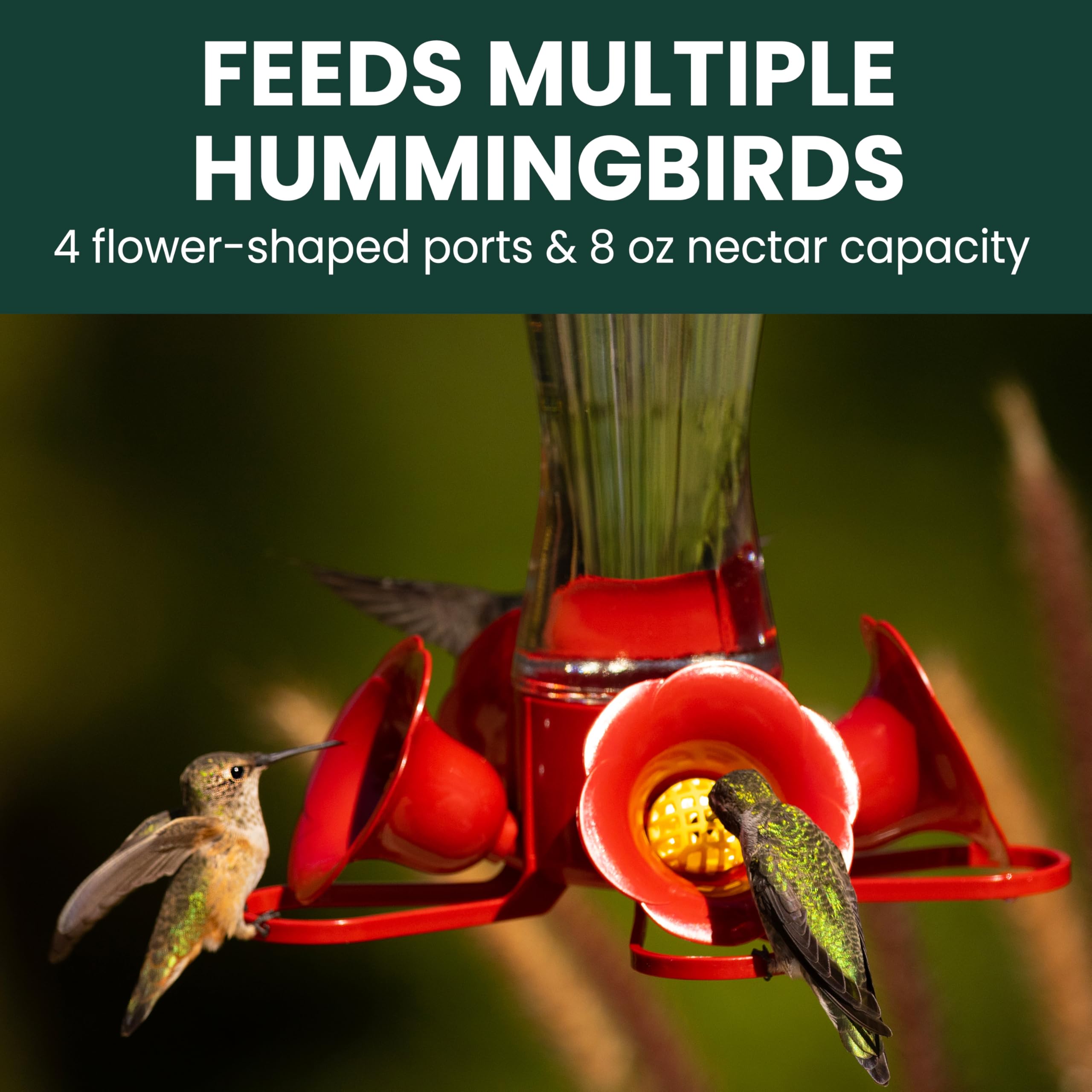 Perky-Pet 203CPBN Outdoor Pinch Waist Glass Garden Décor Hummingbird Feeder 🍁 All In One Marketplace Canada