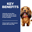 Hill's Science Diet Adult Oral Care Chicken, Rice & Barley Recipe Dry Dog Food 6.8 kg Bag 🍁 All In One Marketplace Canada