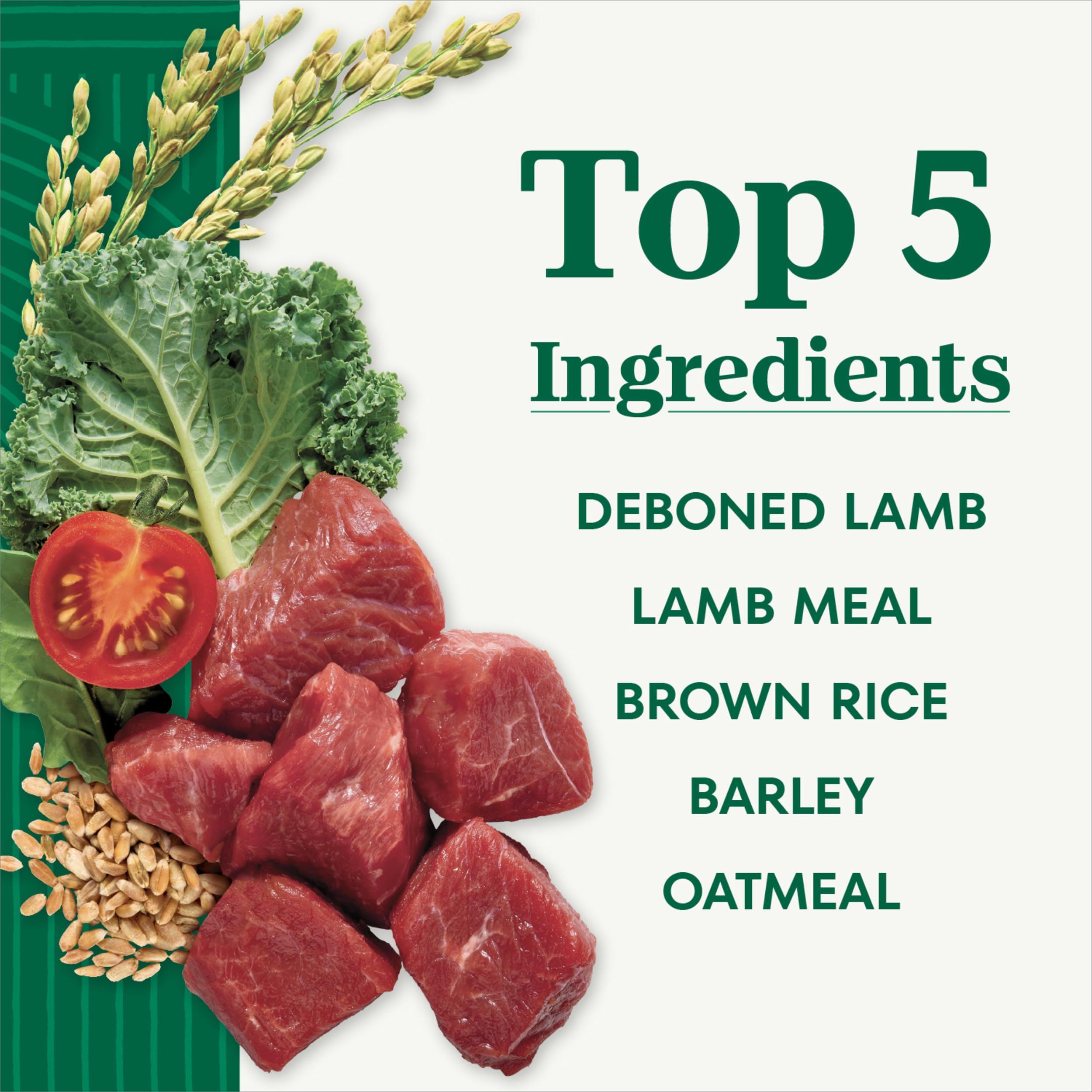 Nutro Natural Choice Adult Dry Dog Food, Lamb Flavour, 2.27kg 🍁 All In One Marketplace Canada
