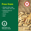 Organika Canadian-Made Milk Thistle 250 Mg Bonus Size 220 count- Liver Protectant From Silymarin Seed- 220vcaps 🍁 All In One Marketplace Canada