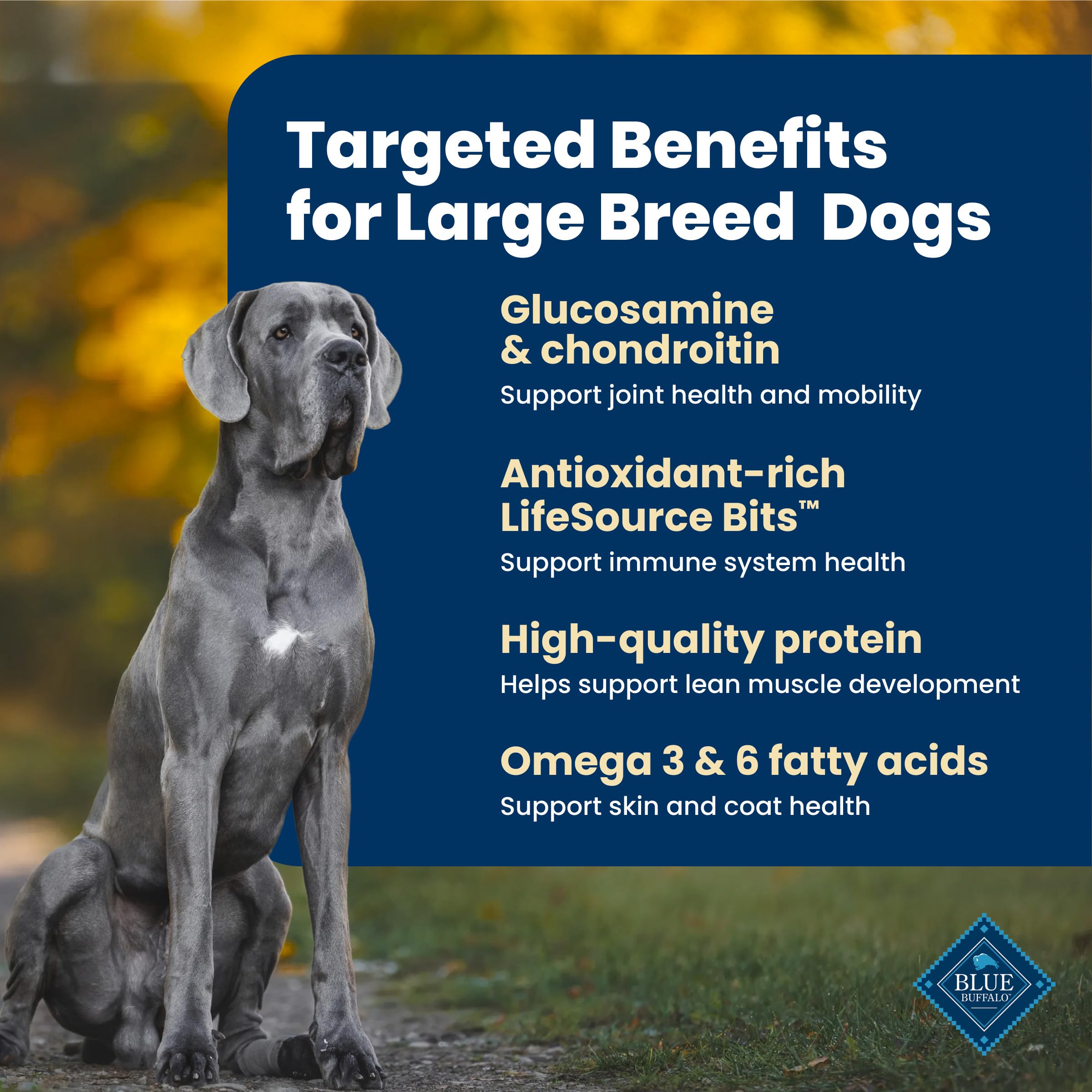 Blue Buffalo Life Protection Formula Lamb & Brown Rice Large Breed Adult Dry Dog Food, Supports Immunity with Antioxidant-Rich LifeSource Bits, Promotes Healthy Muscles, 11.7kg/26lbs 🍁 All In One Marketplace Canada