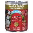 Purina ONE Wet Dog Food, Tender Cuts in Gravy Lamb & Rice 368g (12 Pack) 🍁 All In One Marketplace Canada