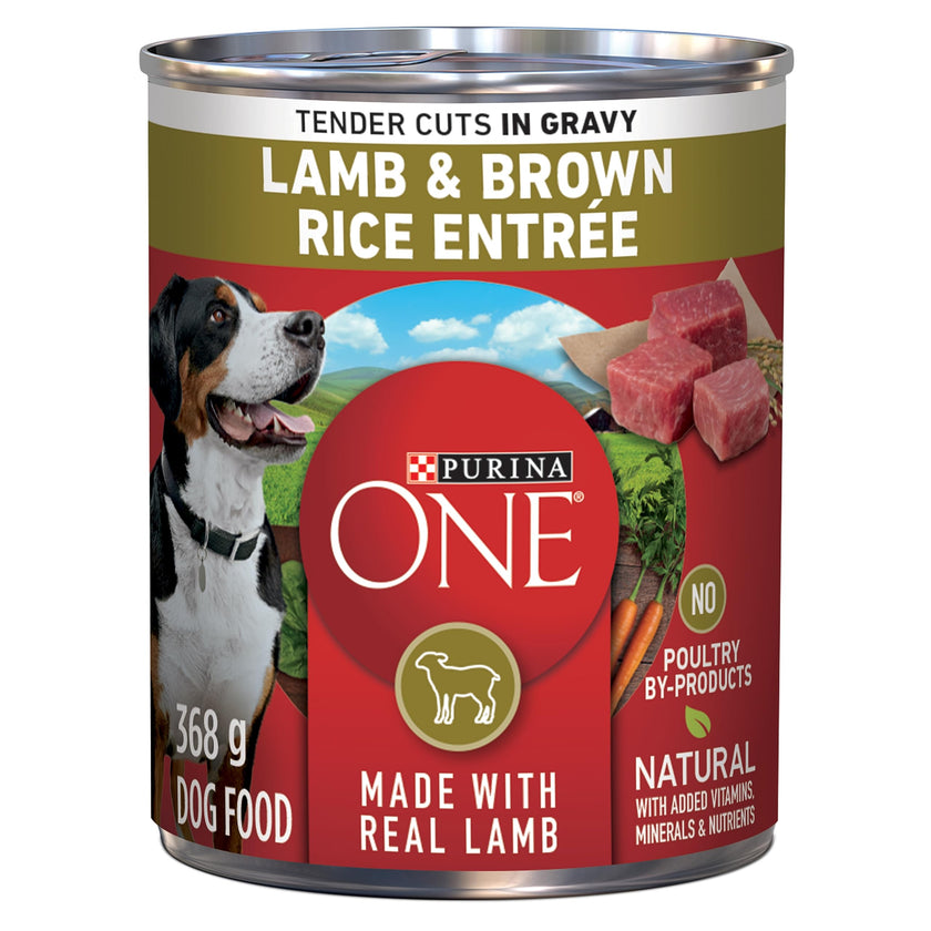 Purina ONE Wet Dog Food, Tender Cuts in Gravy Lamb & Rice 368g (12 Pack) 🍁 All In One Marketplace Canada