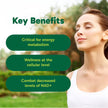 Organika Canadian-Made NAD+ Booster - NRC - for Energy Metabolism, Healthy Aging, Vitamin B3, and Cellular Health - 60vcaps, 60 Day Supply 🍁 All In One Marketplace Canada