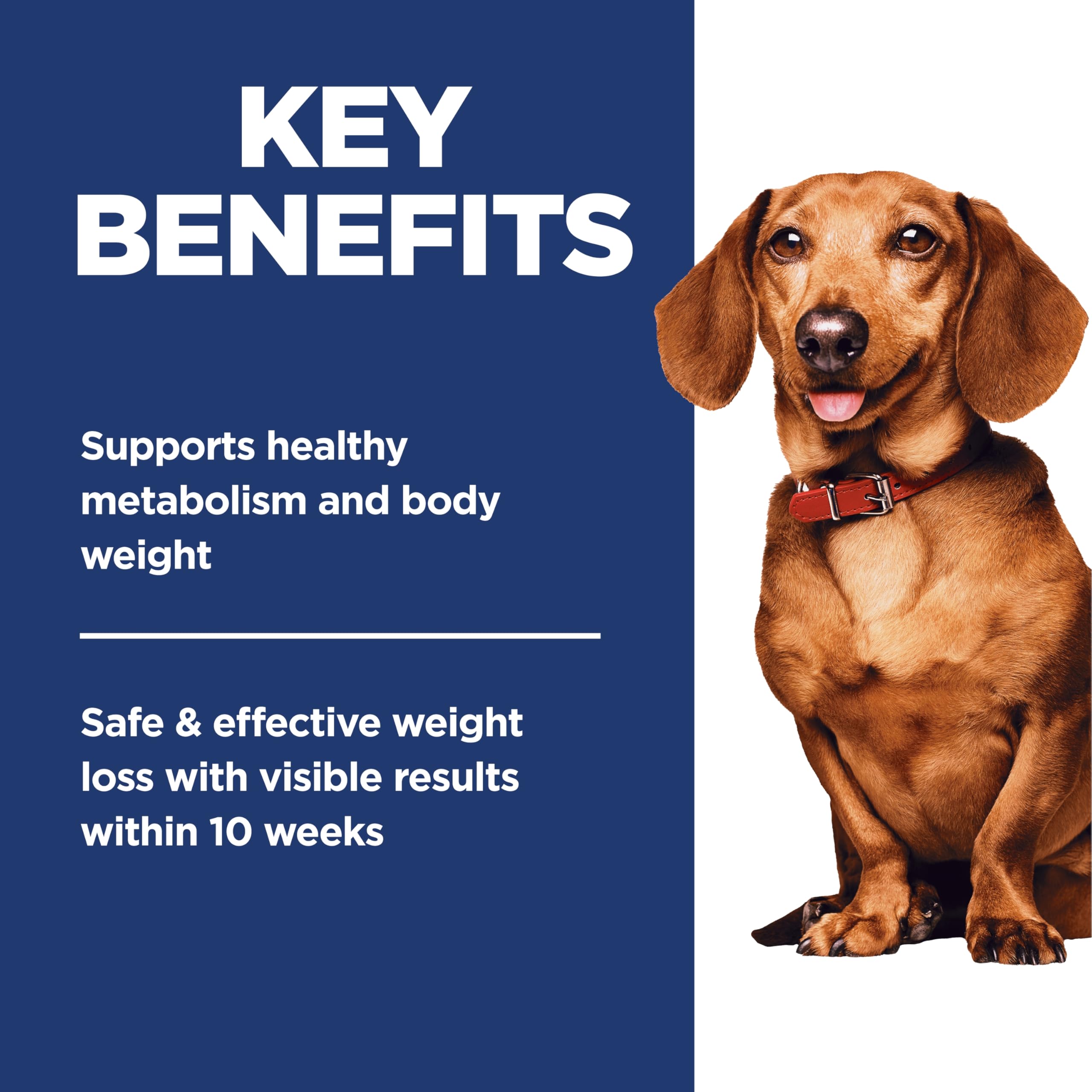 Hill's Science Diet Adult Perfect Weight Small & Mini Chicken Recipe Dry Dog Food, 5.67 kg Bag 🍁 All In One Marketplace Canada