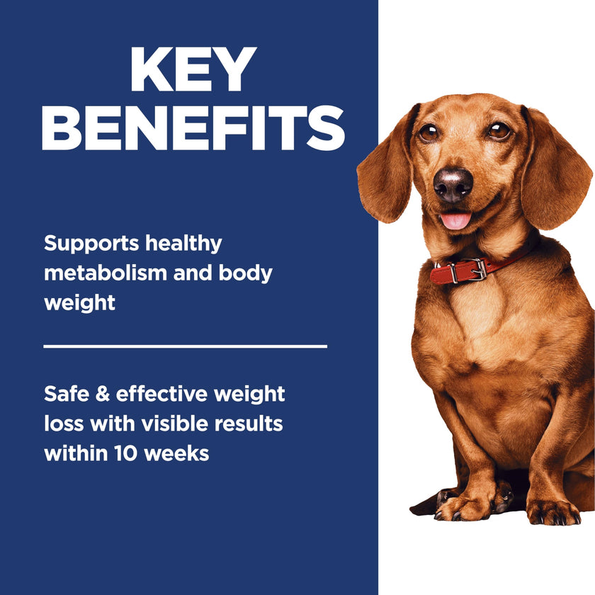 Hill's Science Diet Adult Perfect Weight Small & Mini Chicken Recipe Dry Dog Food, 5.67 kg Bag 🍁 All In One Marketplace Canada
