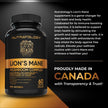 Nutratology® Organic Lion's Mane Mushroom Capasules - Nootropic Functional Mushroom Supplements Made With 40% Polysaccharides & >20% Beta-Glucan | Supports Memory, Cognition & Brain Health - 60 Count 🍁 All In One Marketplace Canada