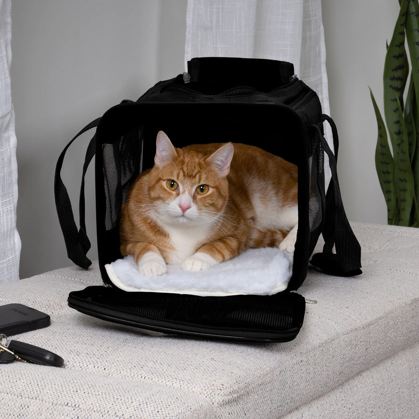 SHERPA Original Deluxe Airline Approved Pet Carrier, Medium, Black 🍁 All In One Marketplace Canada