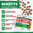 Glucosamine for Dogs - 165 Chews - Hip and Joint Supplement for Dogs - Glucosamine Chondroitin Chews - Joint Pain Relief Supplement with MSM - Advanced Health - Mobility Support - Made in USA 🍁 All In One Marketplace Canada