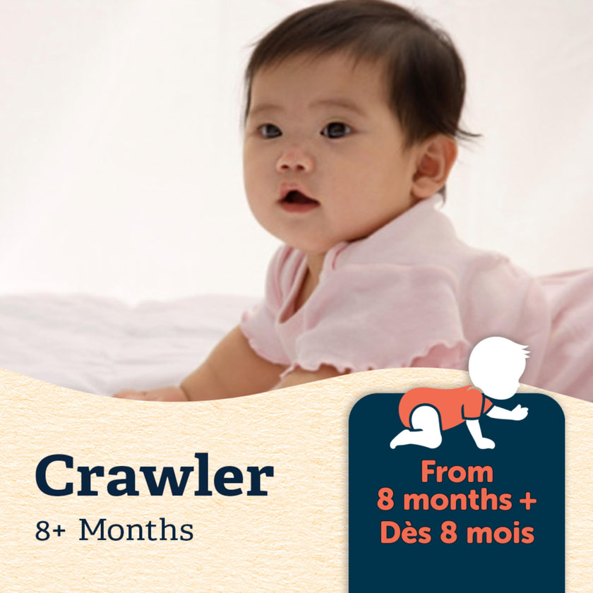 GERBER Cereal Wheat with Yogourt & Apple Pear Banana, Cereal, 8+ Months, 227 g, 6 Pack - Packaging May Vary 🍁 All In One Marketplace Canada