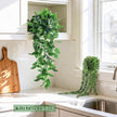 Der Rose 4Pcs Fake Plants, Artificial Plants Fake Hanging Plants for Boho Home Bathroom Bedroom Living Room Office Wall Shelf Decor Indoor Outdoor 🍁 All In One Marketplace Canada