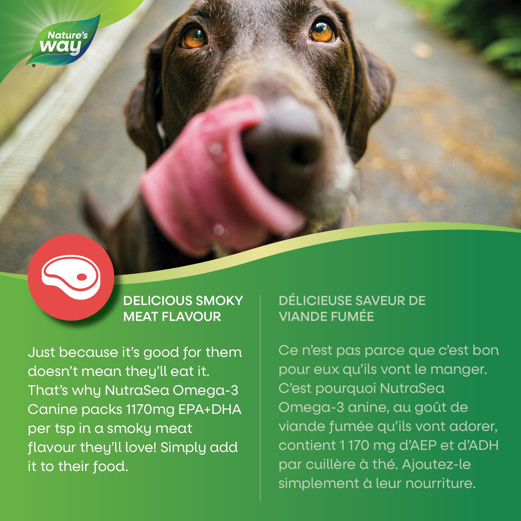 Nature’s Way NutraSea Omega-3 Canine Supplement for Dogs – Helps Support Dogs’ Skin, Coat, Muscles, Joints, Heart & Brain – 1170 mg of EPA + DHA – Smoky Meat Flavour, 500 mL 🍁 All In One Marketplace Canada