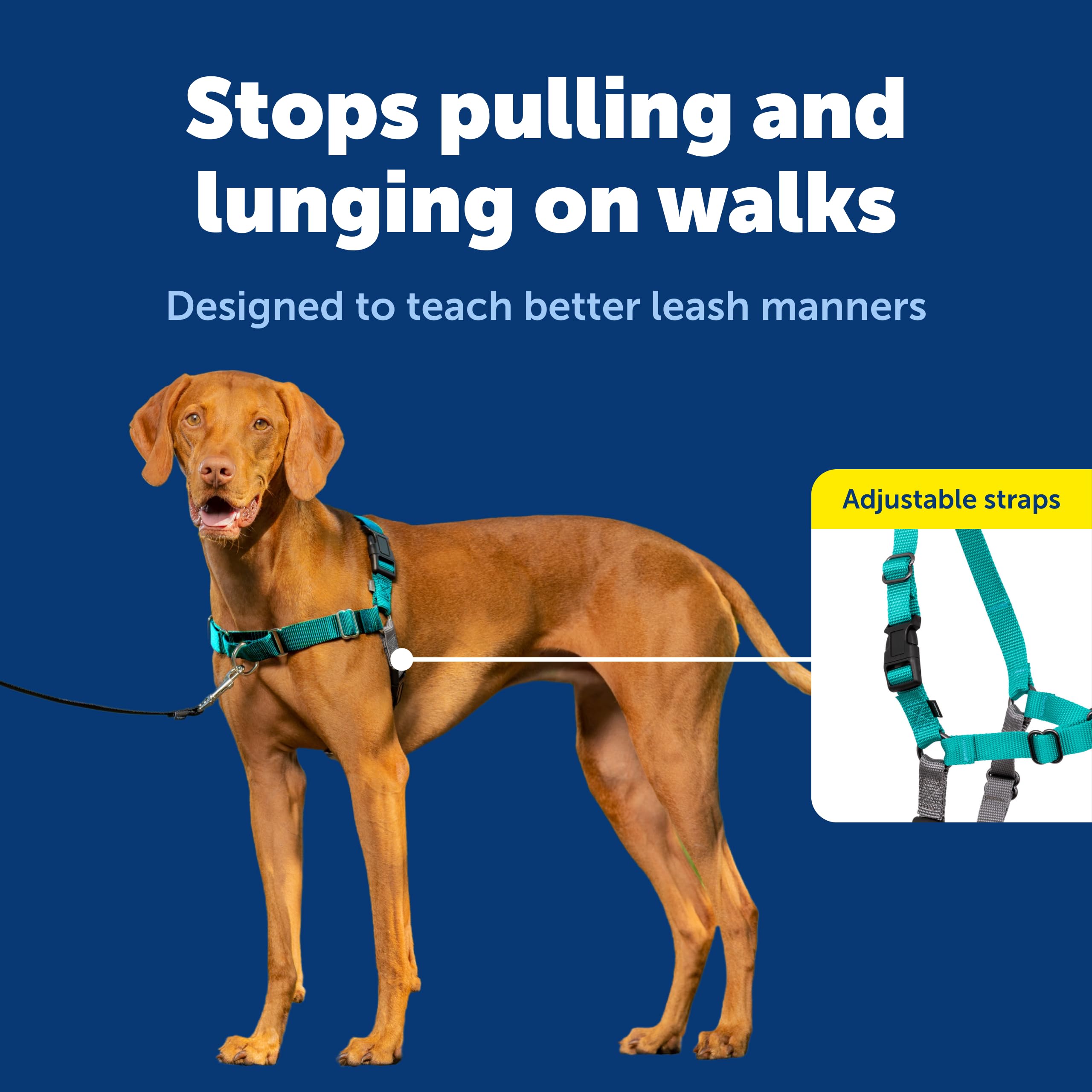 PetSafe Easy Walk Dog Harness, Teal/Gray, Medium 🍁 All In One Marketplace Canada