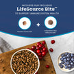 Blue Buffalo Tastefuls Salmon & Brown Rice Recipe Dry Indoor Cat Food for Adult Cats, Real Salmon First, Deliciously Healthy Natural Cat Food, Supports Digestive Care and Coat Health, 3.1kg Bag 🍁 All In One Marketplace Canada