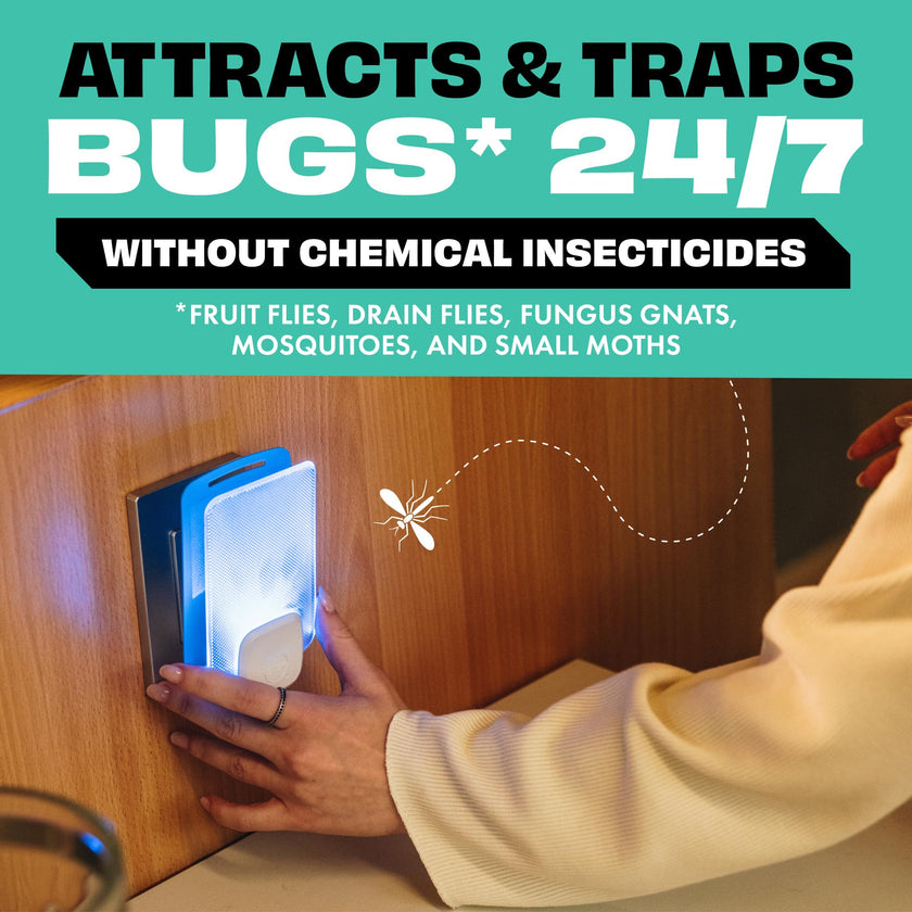 STEM Flying Insect Light Trap Kit, Fruit Fly Trap for Indoor Use, Effective Insect Control for Home, Drain Fly & Fungus Gnat Control, Insecticide-Free Plug-in Device, 1 Device + 2 Cartridges 🍁 All In One Marketplace Canada
