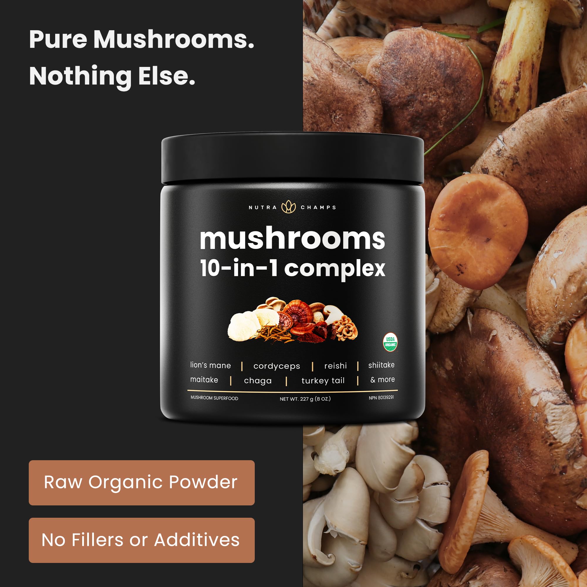 Organic Mushroom Powder - 10-in-1 Complex - Mushroom Supplement Powder Blend for Memory, Focus & Immune Support - Mushroom Blend For Coffee, Water, Smoothies - 8oz 🍁 All In One Marketplace Canada