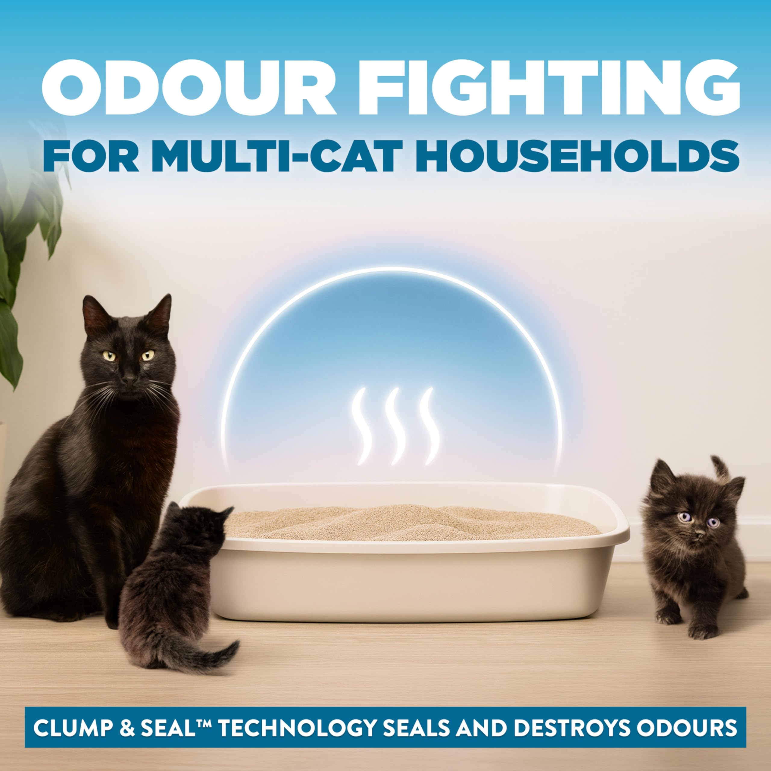 ARM & Hammer Cloud Control Clumping Cat Litter, Multi Cat, 6.35kg – 7 Day Odour Control, 99.9% Dust Free, Hypoallergenic Light Scent 🍁 All In One Marketplace Canada