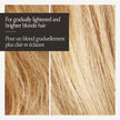 John Frieda Go Blonder Duo for Blondes, Lightening Shampoo and Conditioner, Gradually lightens and brightens natural, colour-treated and highlighted blonde hair, peroxide and ammonia free. Packaging May Vary 🍁 All In One Marketplace Canada