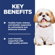 Hill's Science Diet Senior 7+ Small Bites Chicken Meal, Barley & Rice Recipe Dry Dog Food 2.26 kg Bag 🍁 All In One Marketplace Canada