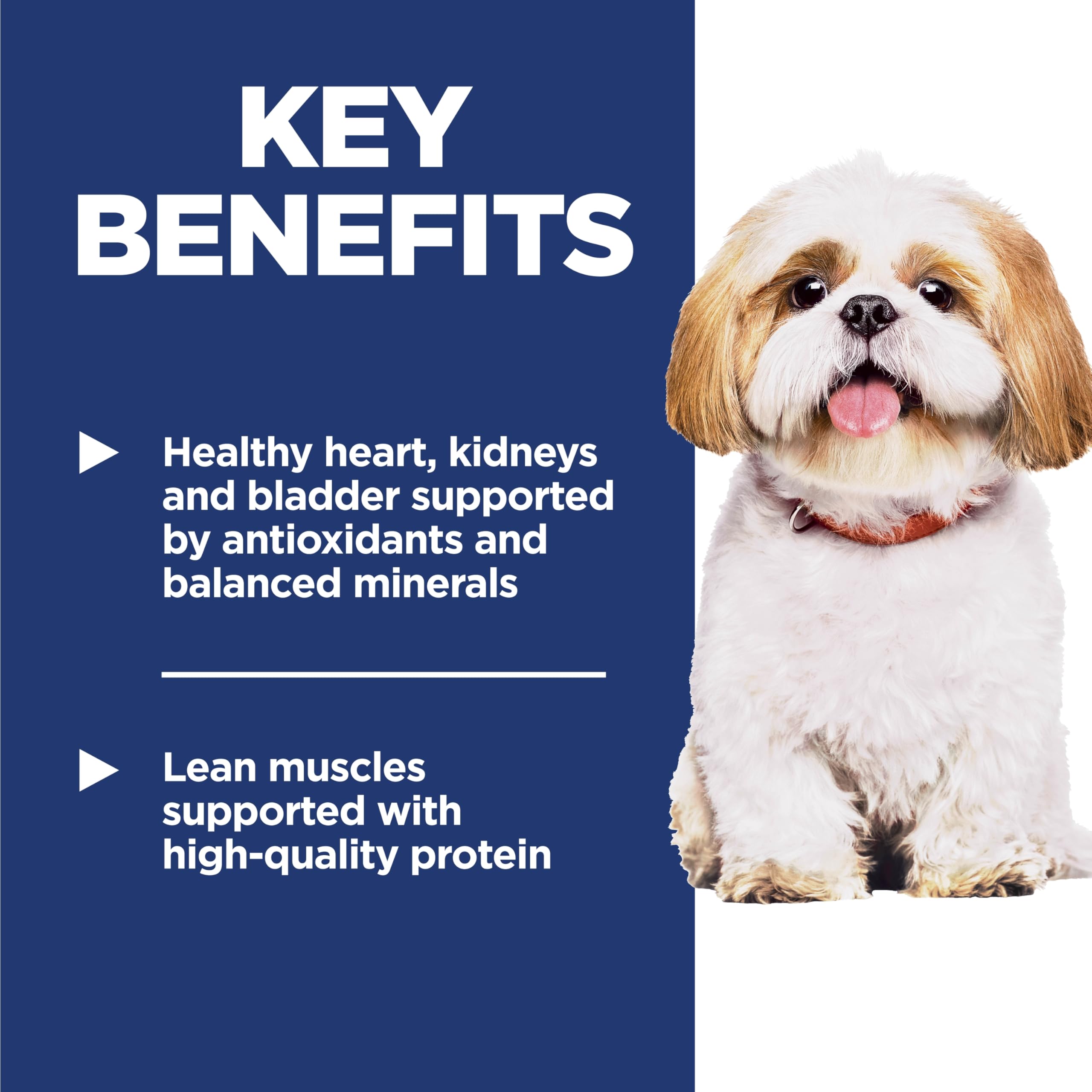 Hill's Science Diet Senior 7+ Small Bites Chicken Meal, Barley & Rice Recipe Dry Dog Food 2.26 kg Bag 🍁 All In One Marketplace Canada