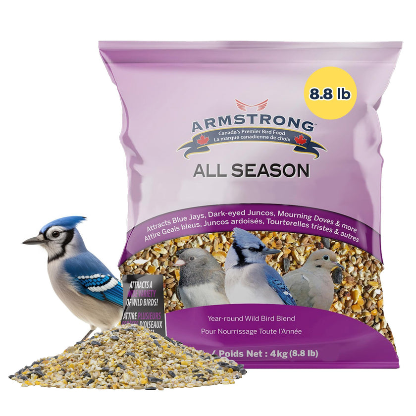 Armstrong All Season Blend, Premium Wild Bird Seed Mix, 4KG (8.8LB) Bag 🍁 All In One Marketplace Canada