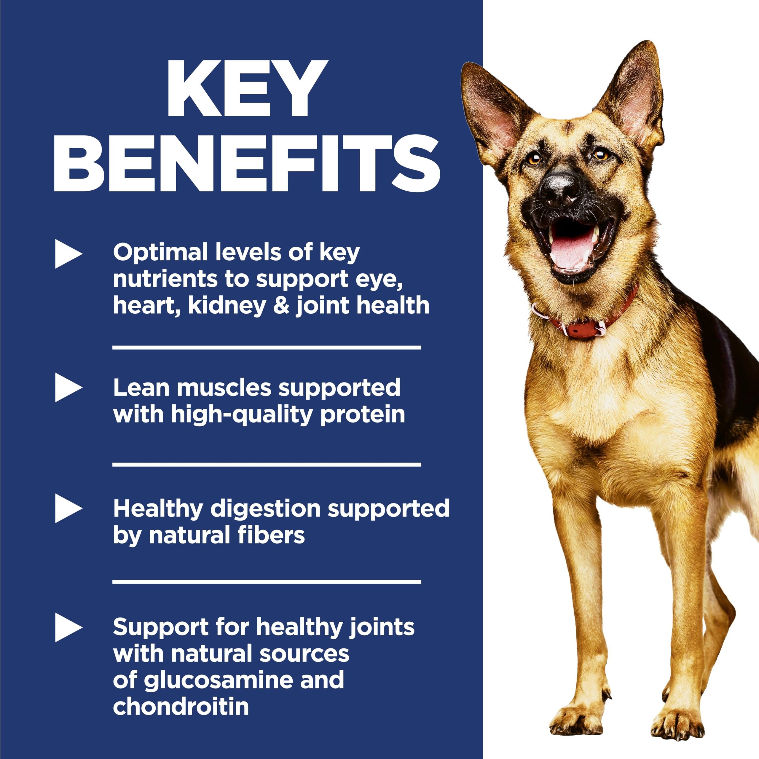 Hill's Science Diet Senior 6+ Large Breed Chicken Meal, Barley & Rice Recipe Dry Dog Food 14.9 kg Bag 🍁 All In One Marketplace Canada