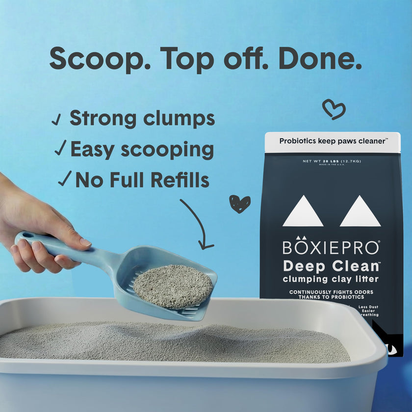 Boxie® Probiotic Cat Litter 40 Day Natural Odor Control, 16lb Clumping Kitty Litter (Clay) 🍁 All In One Marketplace Canada