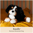 GUND Randle 13-Inch Bernese Mountain Dog Stuffed Animal for Ages 0+ 🍁 All In One Marketplace Canada