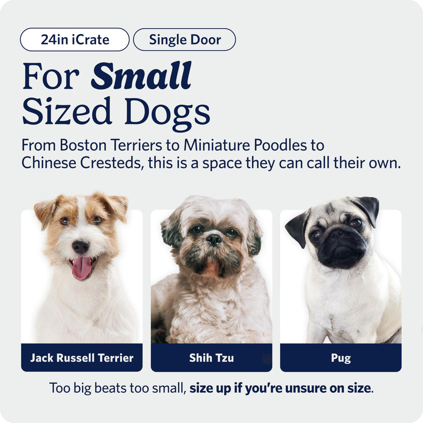 MidWest Homes for Pets 24-Inch iCrate for Small Breeds, 12-20 lbs, Single Door Folding Dog Crate with Divider Panel, Leak-Proof Tray & Secure Latch, Portable, Durable & Easy to Assemble 🍁 All In One Marketplace Canada