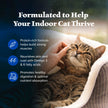 Blue Buffalo Wilderness Chicken Natural High-Protein Grain-Free Dry Food for Adult Indoor Cats, Real Chicken First, Antioxidant-Rich LifeSource Bits Support Immunity, Promotes Strong Muscles, 5 lbs. 🍁 All In One Marketplace Canada