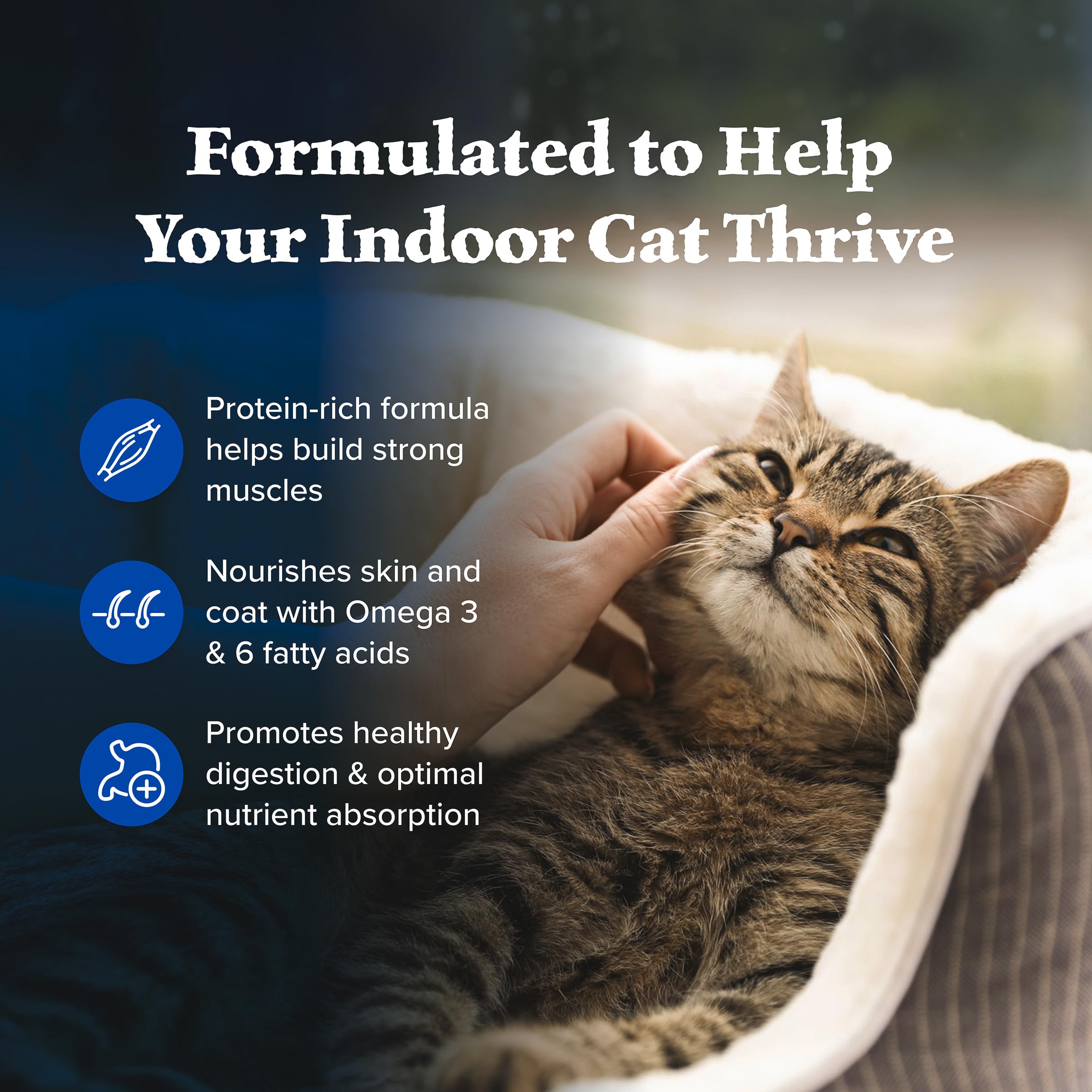Blue Buffalo Wilderness Chicken Natural High-Protein Grain-Free Dry Food for Adult Indoor Cats, Real Chicken First, Antioxidant-Rich LifeSource Bits Support Immunity, Promotes Strong Muscles, 5 lbs. 🍁 All In One Marketplace Canada