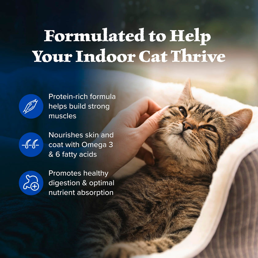 Blue Buffalo Wilderness Chicken Natural High-Protein Grain-Free Dry Food for Adult Indoor Cats, Real Chicken First, Antioxidant-Rich LifeSource Bits Support Immunity, Promotes Strong Muscles, 5 lbs. 🍁 All In One Marketplace Canada
