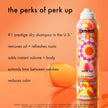 amika PERK UP Dry Shampoo, 5.3 oz 🍁 All In One Marketplace Canada