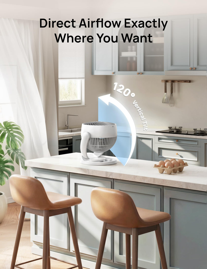DREO Fan for Bedroom, 12 Inches, 70ft Powerful Airflow, 25db Quiet Table Air Circulator Fans for Whole Room, 120° Adjustable Tilt Desk Fan, 3 Speeds, Desktop Fan for Home, Office, Kitchen, RV 🍁 All In One Marketplace Canada