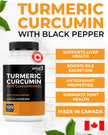 RENEW ACTIVES Turmeric Curcumin – Ultra Potent 95% Curcuminoids with BioPerine Black Pepper for Maximum Absorption – Supports Joint Health, Mobility, Digestion & Liver – Made in Canada – 120 Capsules 🍁 All In One Marketplace Canada