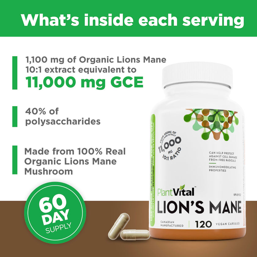 PlantVital Lions Mane - Made in Canada - Max Potency 11,000mg (10:1 Extract) - Organic Lion’s Mane Mushroom Supplements with 40% Polysaccharides - Supports Immune Health and Antioxidants -120 Capsules 🍁 All In One Marketplace Canada