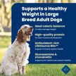Blue Buffalo Life Protection Formula Chicken & Brown Rice Healthy Weight Large Breed Adult Dry Dog Food, Supports Immunity with LifeSource Bits, Promotes Healthy Lean Muscles,11.7kg/26 lbs 🍁 All In One Marketplace Canada