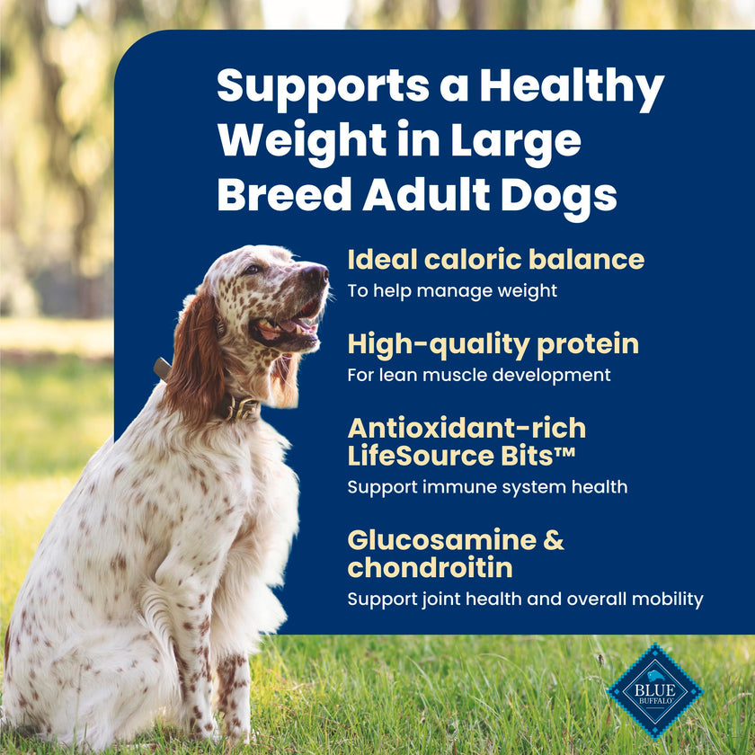 Blue Buffalo Life Protection Formula Chicken & Brown Rice Healthy Weight Large Breed Adult Dry Dog Food, Supports Immunity with LifeSource Bits, Promotes Healthy Lean Muscles,11.7kg/26 lbs 🍁 All In One Marketplace Canada
