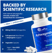 CanPrev Ashwagandha 600mg Vegan 60 Capsules 60-Day Supply - Vegan & Non-GMO - Organic KSM-66 Formula for Enhanced Relaxation & Energy, Sleep Support, Memory Boost - Supplement for Weight Management 🍁 All In One Marketplace Canada