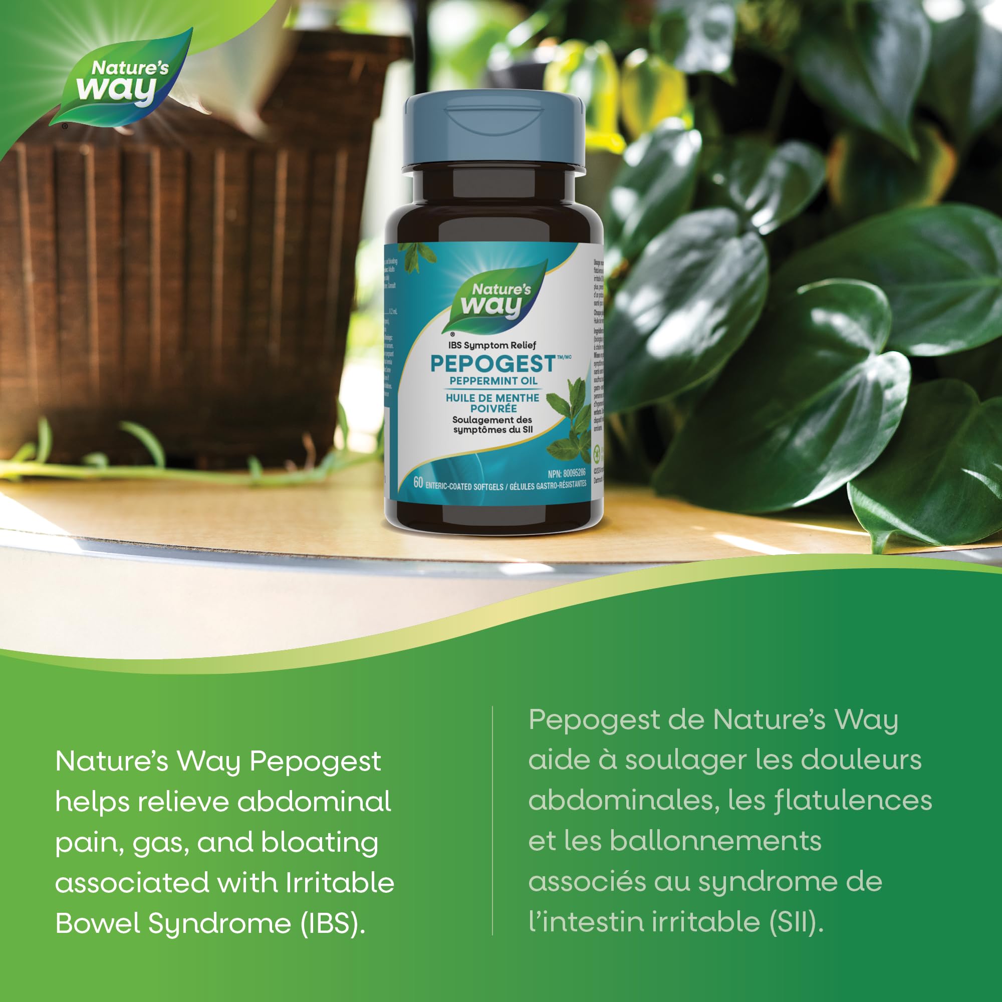 Nature’s Way Pepogest Peppermint Oil Softgels – Help Relieve Abdominal Pain, Gas & Bloating Associated with Irritable Bowel Syndrome – Enteric-Coated – 60 Capsules 🍁 All In One Marketplace Canada