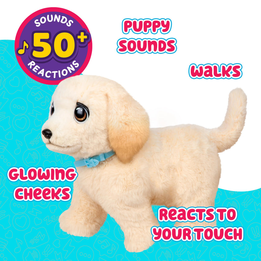 Little Live Pets Ouchies - Cooper The Retriever Puppy|Transform from Injured to Healed Like a Vet. Make a Real Cast. Walking Puppy with Carrier (35cm/13.8in Tall). Repeat Play. 50+ Sounds & Reactions 🍁 All In One Marketplace Canada