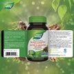 Nature's Way Black Cohosh Root – Hormone Balance for Women – 540mg Herbal Supplement for Menopausal Symptoms – Helps Relieve Menstruation Pain & Premenstrual Symptoms – 100 Vegetarian Capsules 🍁 All In One Marketplace Canada
