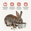 Living World Canadian Extrusion Rabbit Food - 1.4kg 🍁 All In One Marketplace Canada